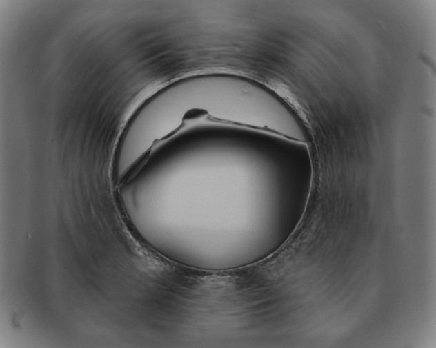 X0000090951181200708301133
