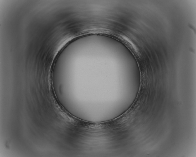 X0000090951182200708301133