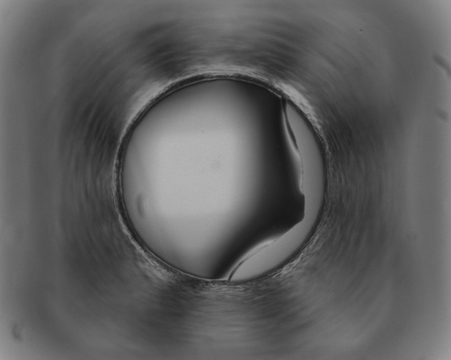 X0000090951183200708301133
