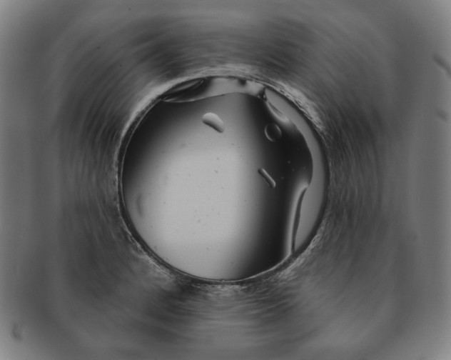 X0000090951184200708301133