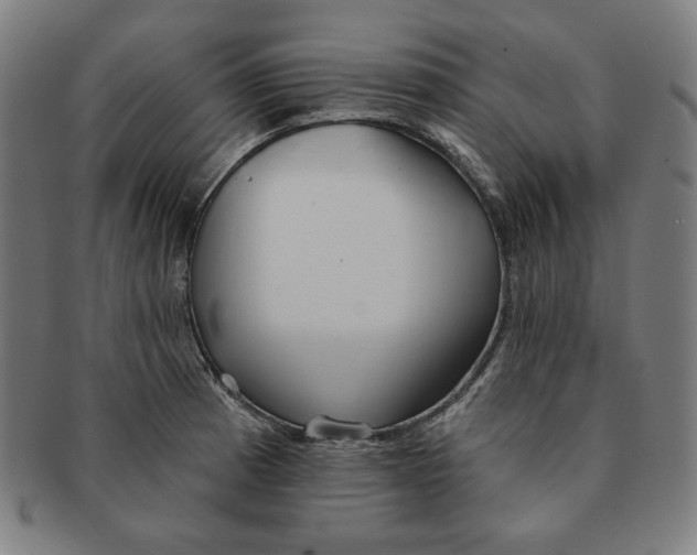 X0000090951185200708301133