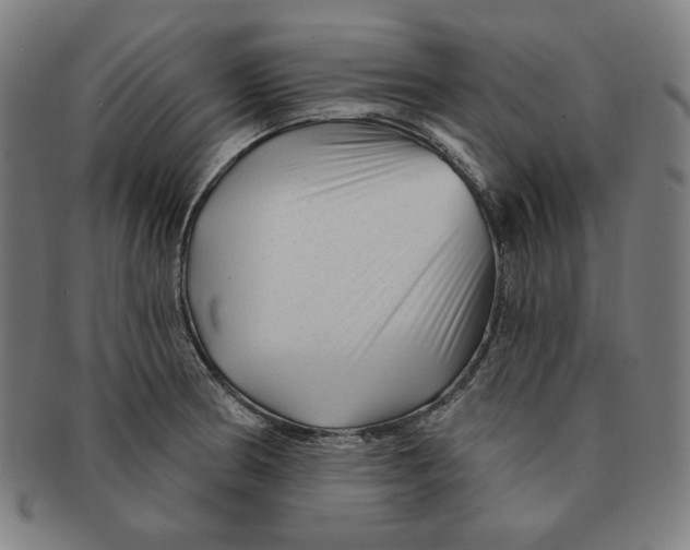 X0000090951186200708301132