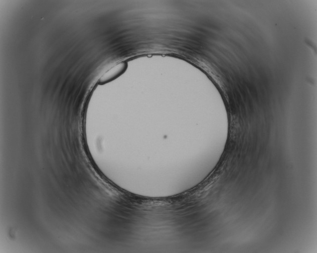 X0000090951187200708301132