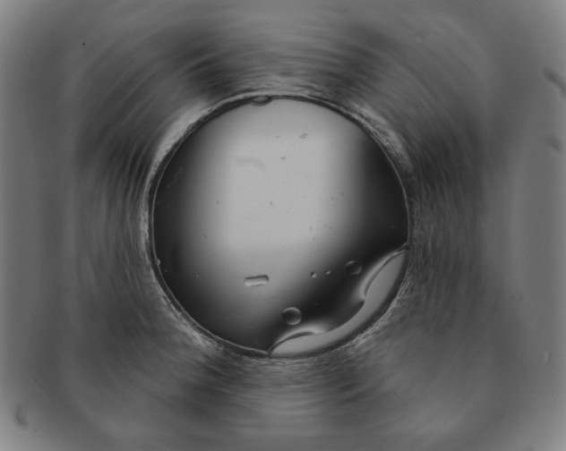 X0000090951188200708301132
