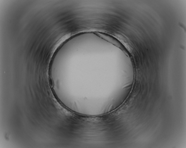 X0000090951189200708301132