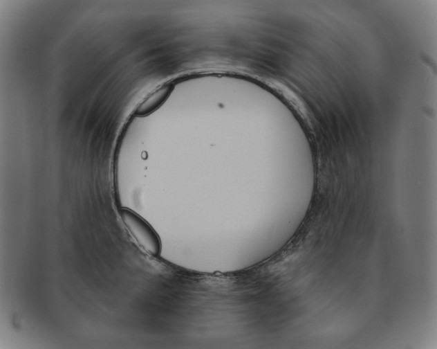 X0000090951191200708301132