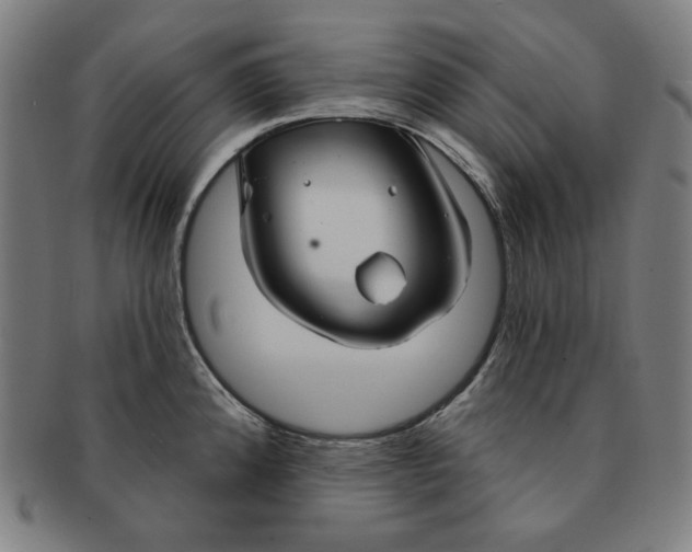 X0000090951192200708301132