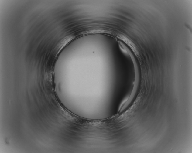 X0000090951193200708301132