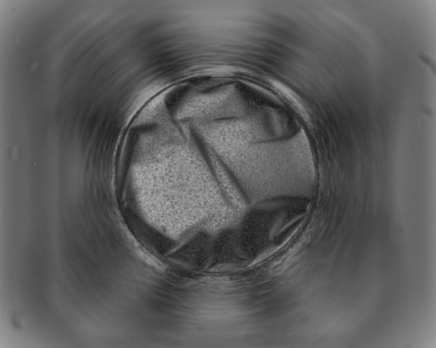 X0000090951194200708301132