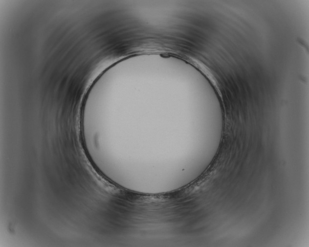 X0000090951195200708301132