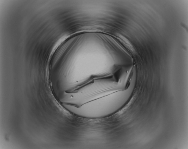 X0000090951196200708301132