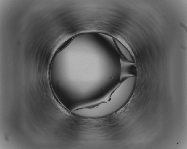 X0000090951197200708301132