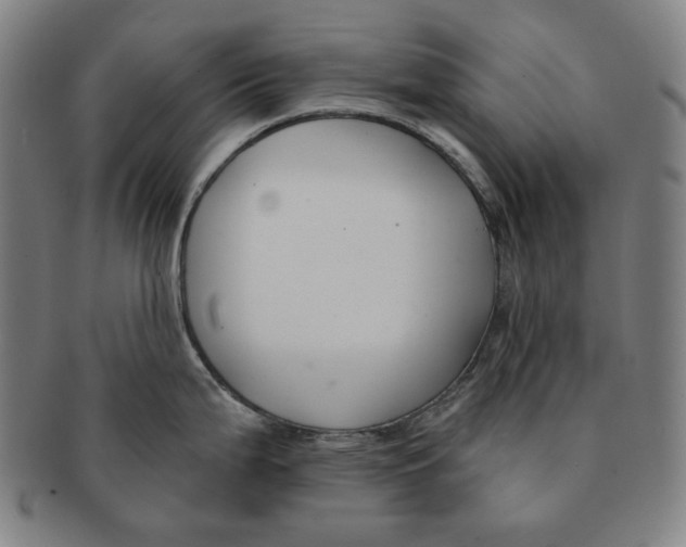X0000090951199200708301132