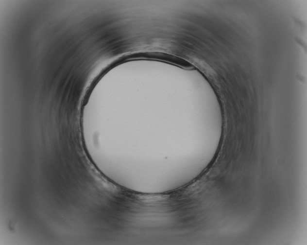 X0000090951200200708301132