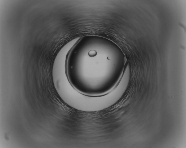 X0000090951202200708301132