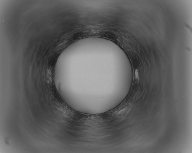 X0000090951203200708301132
