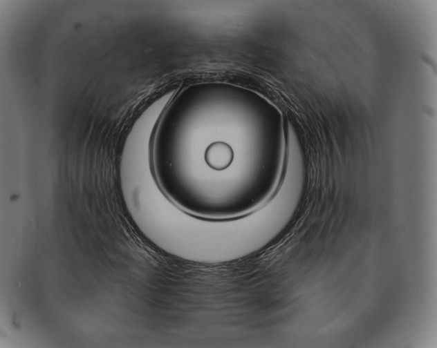 X0000090951204200708301132