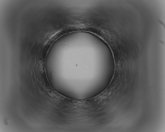 X0000090951205200708301132