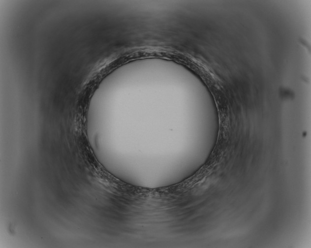 X0000090951207200708301132