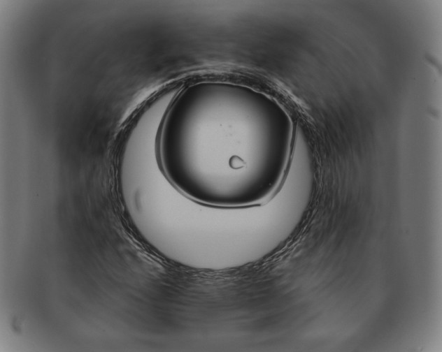 X0000090951208200708301132