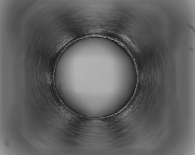 X0000090951209200708301132