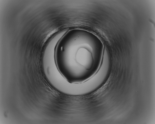 X0000090951210200708301132