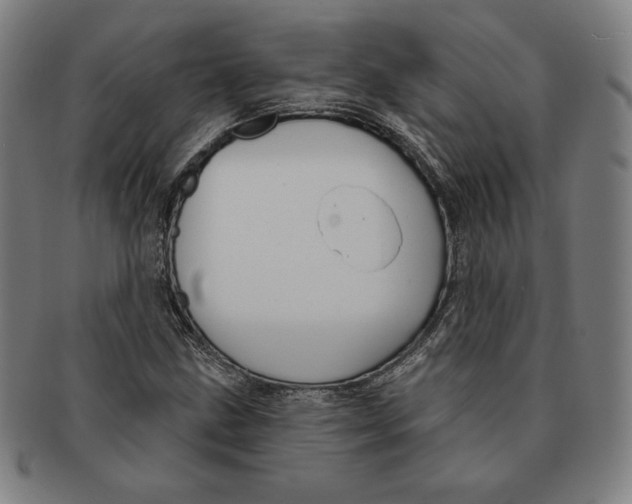 X0000090951211200708301132