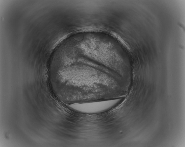 X0000090951213200708301132