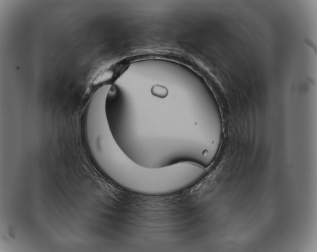 X0000090951214200708301132