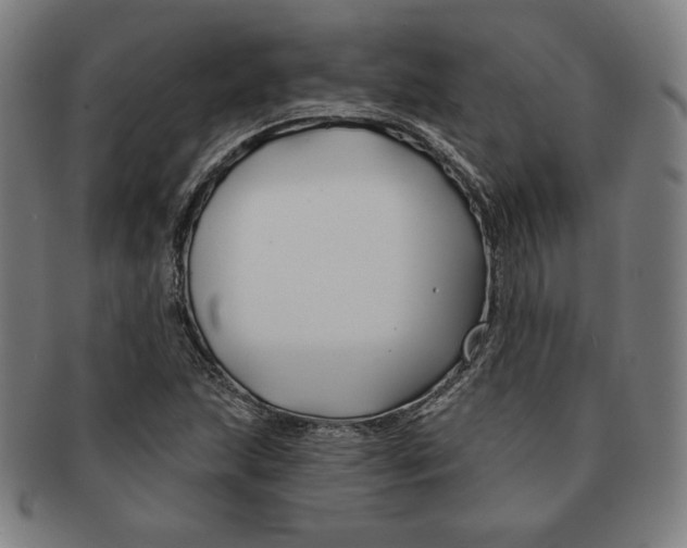 X0000090951215200708301132