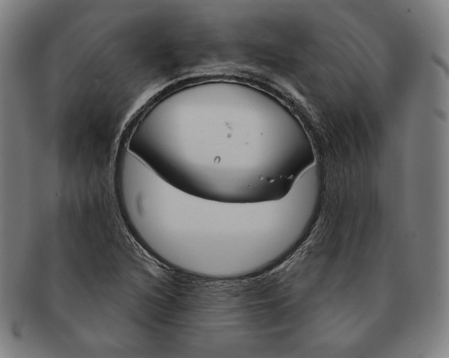 X0000090951216200708301132