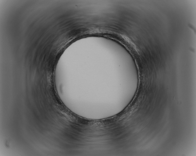 X0000090951217200708301132
