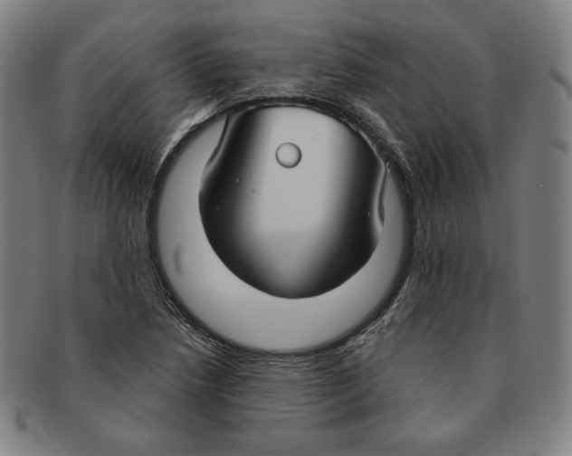 X0000090951218200708301132