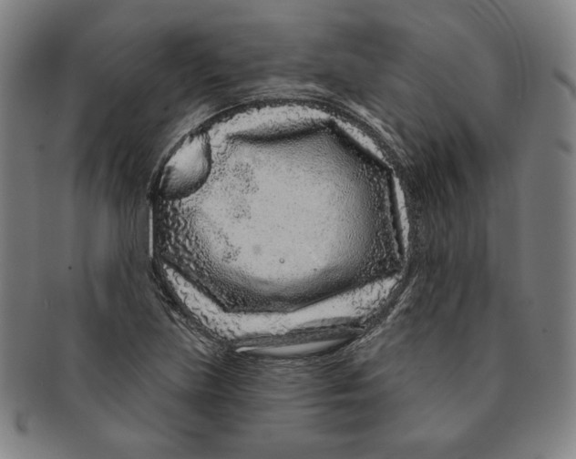 X0000090951219200708301132