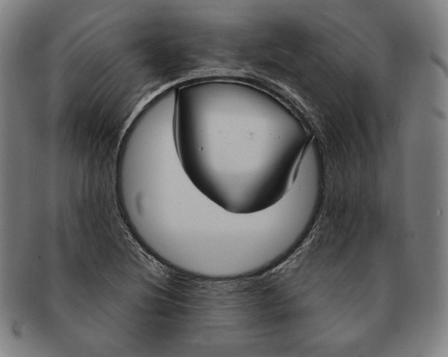 X0000090951220200708301132