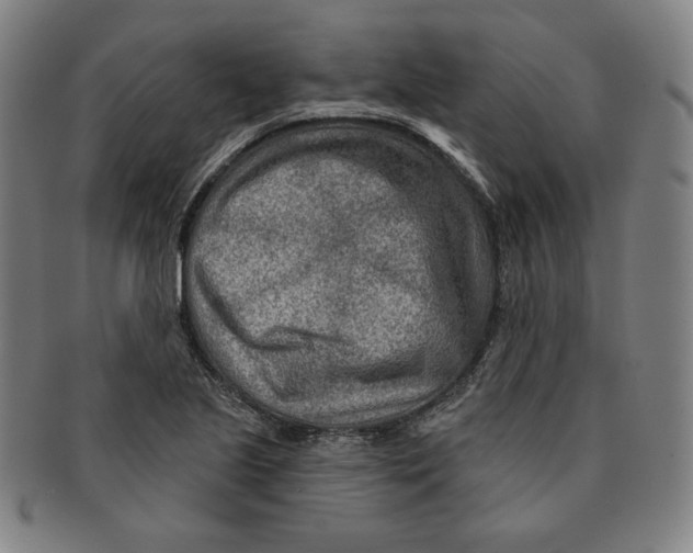 X0000090951221200708301132