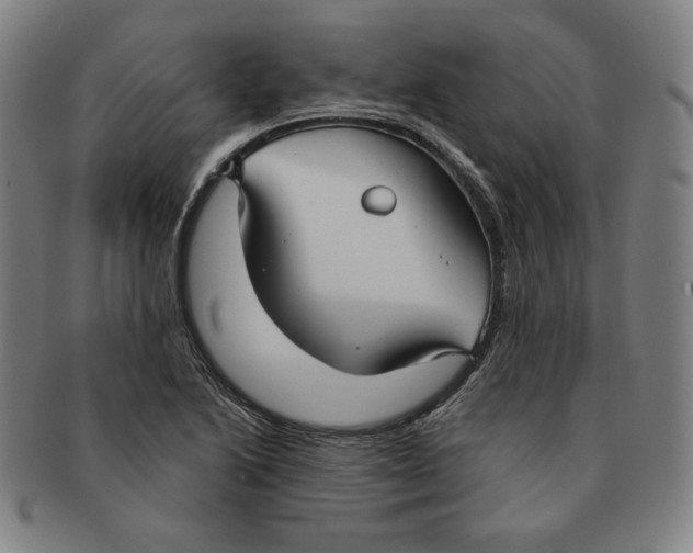 X0000090951222200708301132