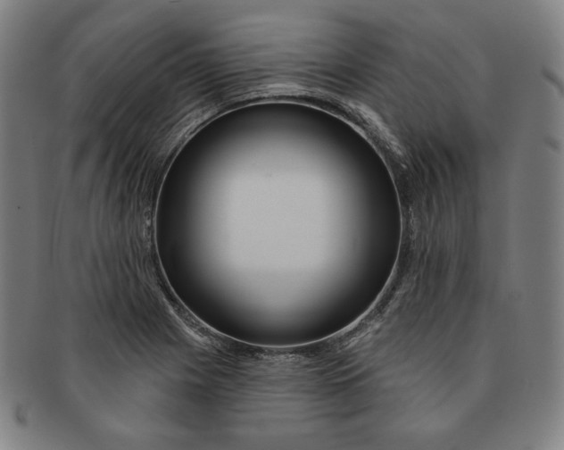 X0000090951225200708301132