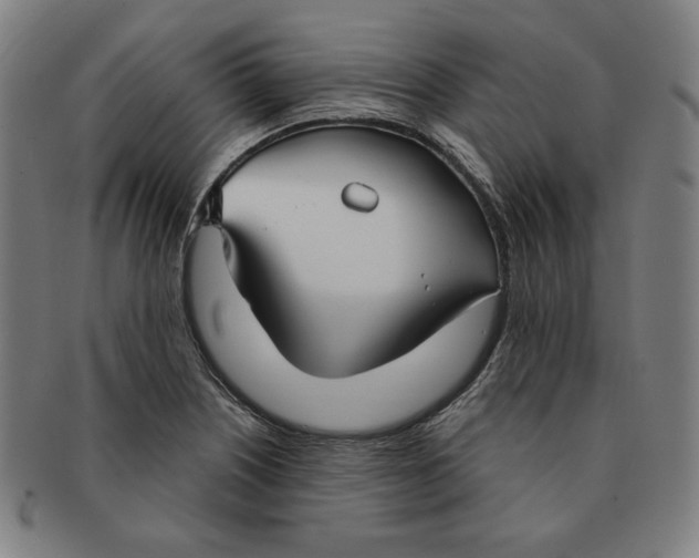 X0000090951226200708301132