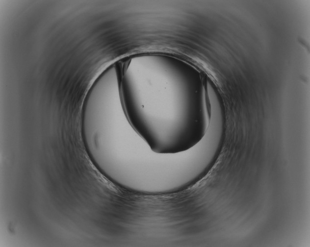 X0000090951228200708301132