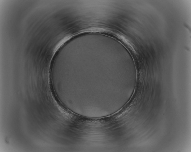 X0000090951229200708301132