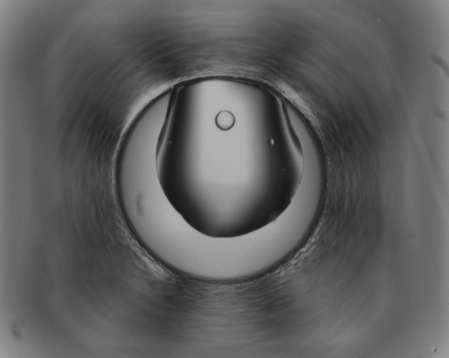 X0000090951230200708301132