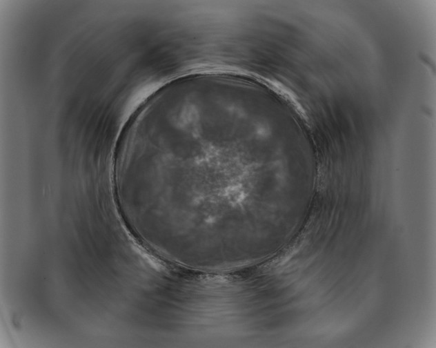 X0000090951231200708301132