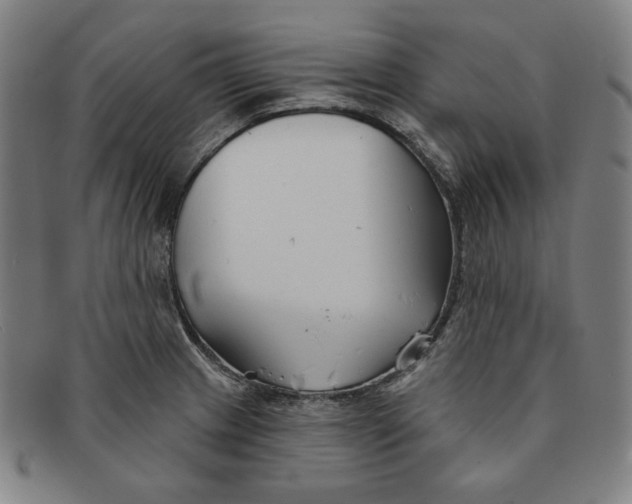 X0000090951233200708301132