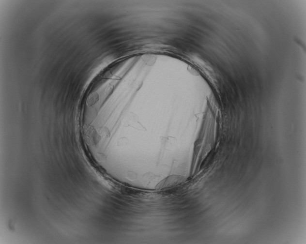 X0000090951235200708301132