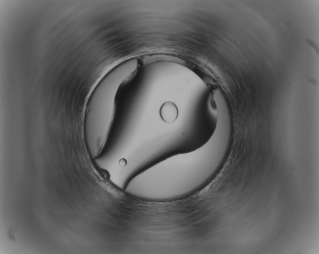 X0000090951236200708301132