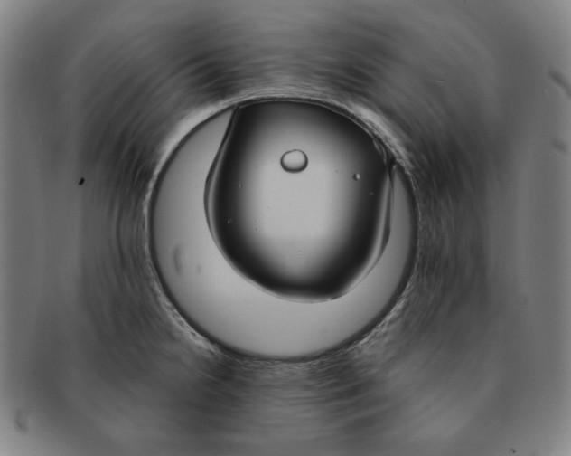 X0000090951238200708301132