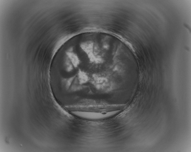 X0000090951239200708301132