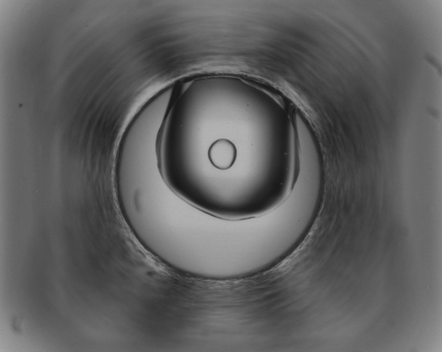 X0000090951240200708301132