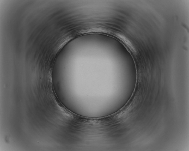 X0000090951241200708301132